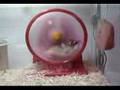 videos de PiKKA MaSTURBATiNG in THE F0REST -