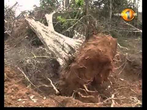 Sirasa News 1st 7pm