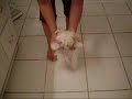 Millee Can Walk!!!