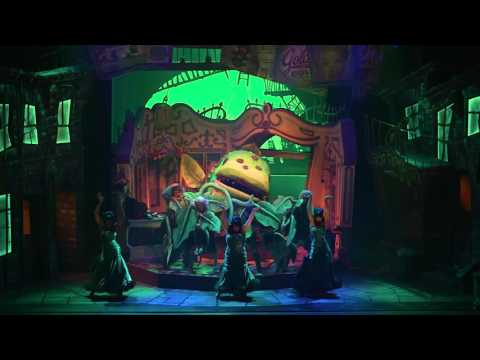 Review Round Up… Little Shop of Horrors, New Wimbledon Theatre – Love ...