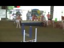 touch� second leg novice standard in harriman, tn 09/05/08 - agility.  toy poodle.