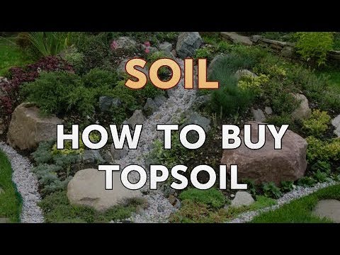 video-linktoworks-How to Buy Topsoil