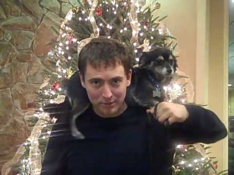 Comedy Zone Jacksonville Owen Benjamin