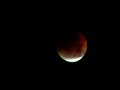 lunar-eclipse-20070828.html