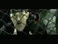 Eminem Feat. 50 Cent, Cashis & Lloyd Banks - You Don't Know