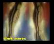 dima maroc terjama frensh !
