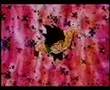 anime dragonball tribute to  bardak