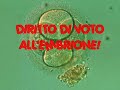 Diritto di voto all\
