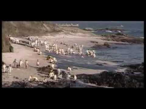 Oil Spills in the Ocean and Oil Pollution