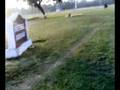 videos de 22112008060.mp4