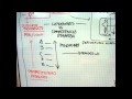 COMPORTAMIENTO LOGISTIICO DEL CONSUMIDOR Y LOS CANALES.wmv