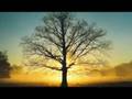 To Somewhere / Revolution - Garageband Trance song