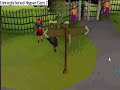 noob fight noob fight