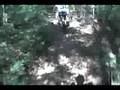 Hemlock trail at Fomba
