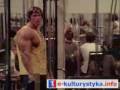 Arnold-Schwarzenegge
