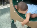 Benji en el parque