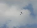 Extra 300 - Keeping it Casual
