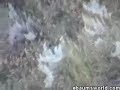 Yet Another Bad Bike Crash