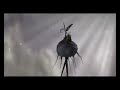 Kwoon - I lived on the Moon Kwoon - I lived on the Moon