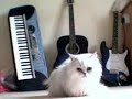 tilly.WMV tilly.WMV