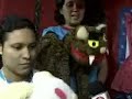 Matéria com Bonecos do Catalendas na feira do livro Matéria com Bonecos do Catalendas na feira do livro