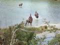 videos de Saturday ride, Matakana island