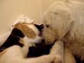 LOVE = PEACE