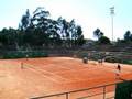 videos de Solvede Tennis Cup