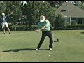 David Toms Driver SwingVision
