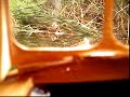 Remote Control boats ~ John built this one his second one