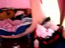 alfajorcitoss dijo yasmin jajaja alfajorcitoss dijo yasmin jajaja