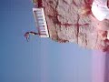 Omar Cllifft Diving
