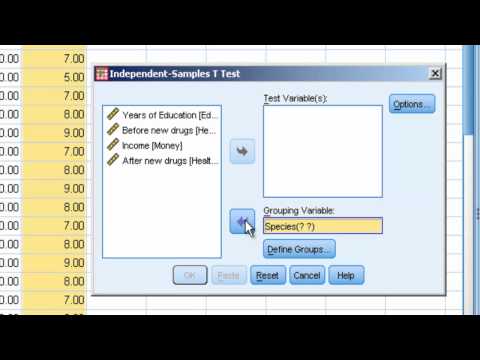 how to calculate t test by spss