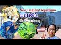 Billets Pour Aquarium De Nouvelle-Angleterre