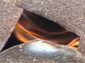 Hybrid Stove Pan Cooking With Bamboo