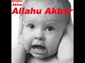 ISLAM D?NYASI