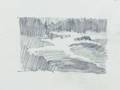 Tom Francesconi Value Study