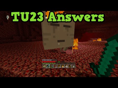how to check how long you've played minecraft