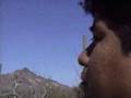 Wetback chronicles