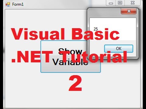 how to define public variable in vb.net