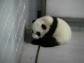 Mei Lan\