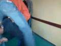 videos de muha i tabakovic