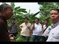 solar water pump