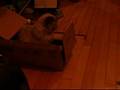 SITTING IN A BOX