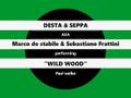 Wild Wood - Desta & Seppa's unplugged version