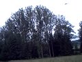 HURRICANE 550 AGUSTA A109 HURRICANE 550 AGUSTA A109