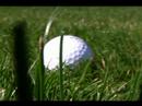 SportsRadio 610 Previews The 2008 Shell Houston Open
