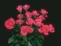 agreement kitaro