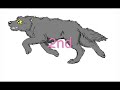 Wolf Run Cycle Help Guide