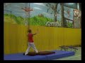 Gymsampler